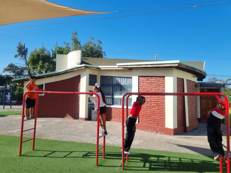 WhatsApp Image 2026-02-26 at 10.20.14